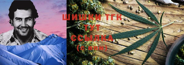 дмт Бронницы