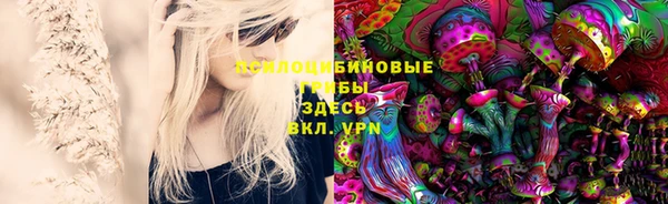 дмт Бронницы